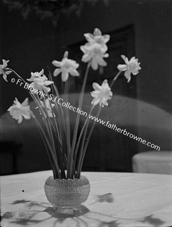 FLOWERS IN VASE